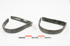 Foto von Bronzeschaukelfußreif (NHMW-PRAE-026220)